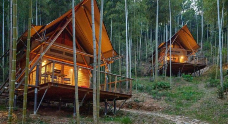 Gîte cabanon en forêt avec lumière allumée